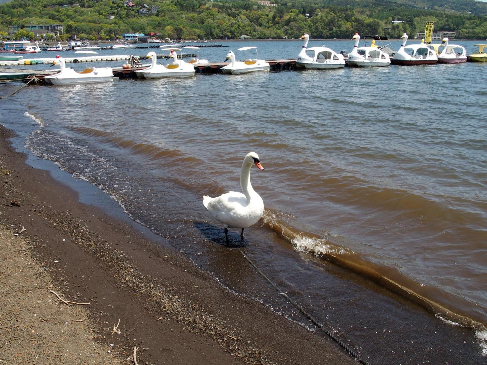 四季之宿柊 山中湖村 外观 照片